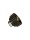 Satz - Stirnrad mit Entlfüfter (3 teilig) BMW R11/1, R11/2, R11/3, R11/4, R16/1, R16/2, R16/3, R16/4