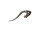 Hebelarmatur links Aluminium BMW R2, R3, R4, R5, R6, R11, R12, R16, R17, R20, R23, R35, R51, R61, R71