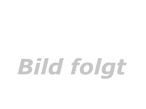 Stiftschraube Zylinder oben (L=39,00mm) Edelstahl BMW R11, R12