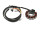 Stator Vape A69S-5 (12V 100W) MZ ES175, ES250, ES300/0, ES300/1, ES300/2, ETS250,TS250
