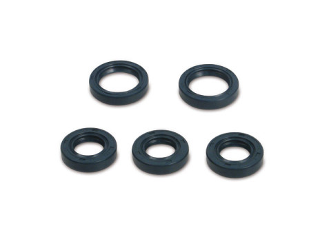 Satz - Wellendichtringe (TCK) für Rollermotor RM150, blau (5 teilig) IWL Pitty, SR56 Wiesel, SR59 Berliner Roller, TR150 Troll