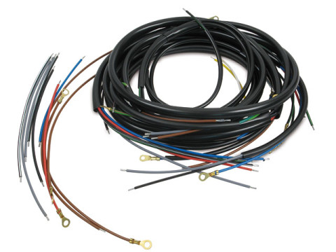 Kabelbaum (mit Schaltplan) IWL TR150 Troll