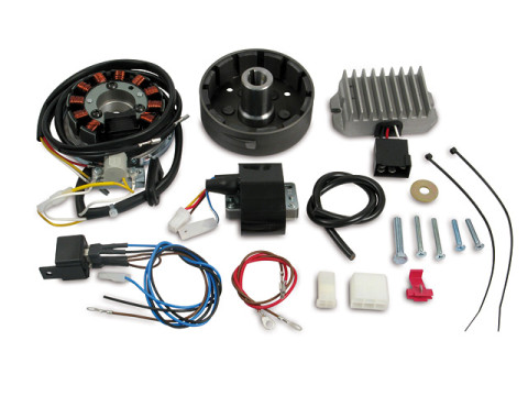 Lichtmaschine + Zündanlage (6V 100W) MZ TS250 (4 Gang), TS250/1 (5 Gang)