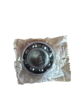 Lager 6203 C3 (SNH)