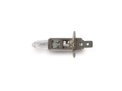 Glühlampe 12V 55W (P14,5sH1) Narva*