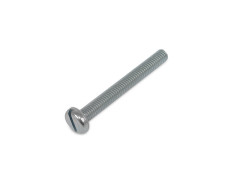 Linsenschraube (M6 x 50,00mm) AM DIN 85 verzinkt