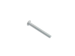 Linsenschraube (M6 x 55,00mm) AM DIN 85 verzinkt