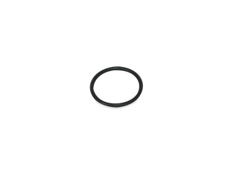 O-Ring (D=22,00 x 2,00mm) DIN 6365