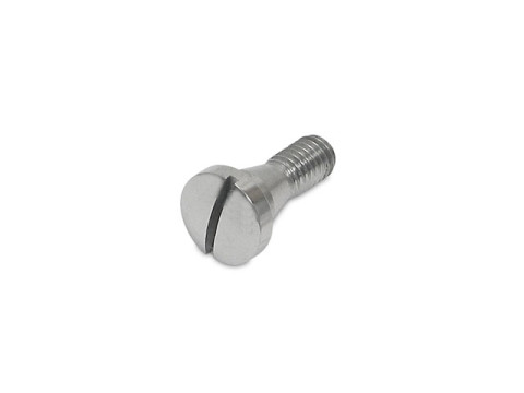 Befestigungsschraube Bremshebel / Kupplungshebel (M6 x 8,00mm / konisch) Edelstahl AWO Touren, Sport, EMW R35/2, R35/3