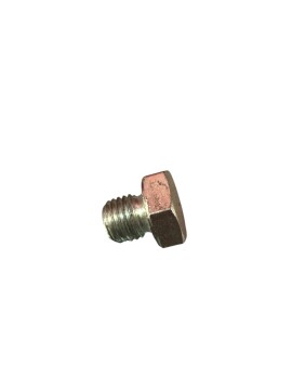 Verschlussschraube (M8x1,0mm) verzinkt EMW R35/2, R35/3