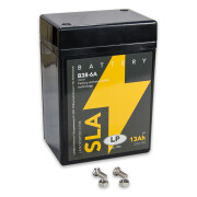 Vliesbatterie 6V 13,0Ah AGM wartungsfrei – B38-6A...