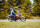 Kalender 2027 (79oktan)