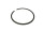 Nasenring (73,50 x 2,00mm) BMW