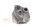 Getriebegehäuse 218639 Vorderseite